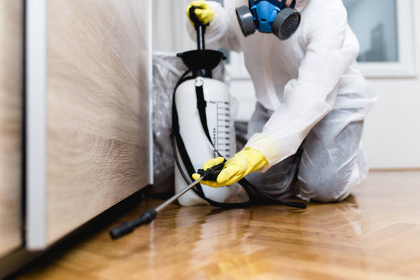 Best Rat Extermination Near Me  in Lineville, AL
