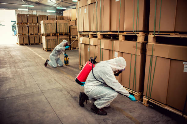 Best Local Pest Control Services  in Lineville, AL