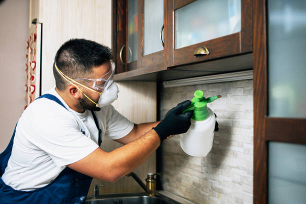 Best Pest Removal Services  in Lineville, AL
