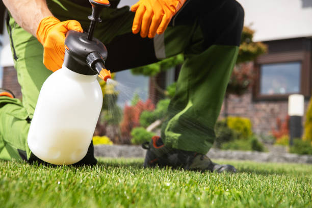 Pest Control Cost in Lineville, AL