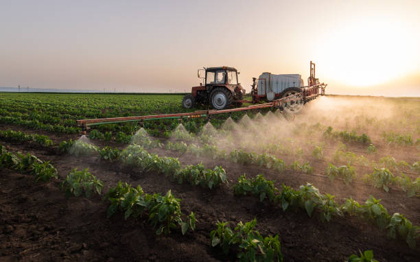 Best Insect Control  in Lineville, AL