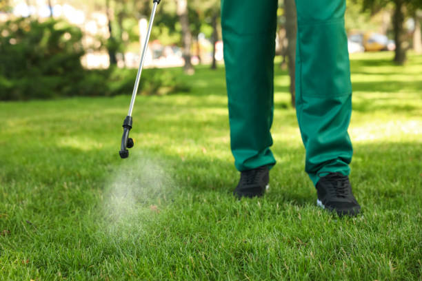 Best Exterminator Services  in Lineville, AL