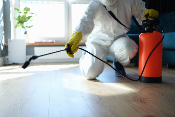 Best Wasp Removal Services  in Lineville, AL