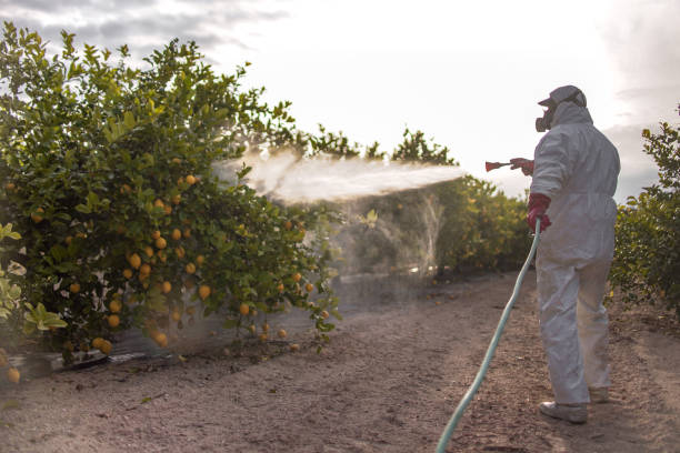 Best Wildlife Control Services  in Lineville, AL
