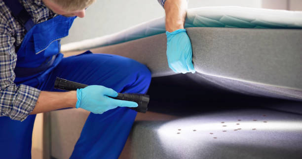 Professional Pest Control in Lineville, AL