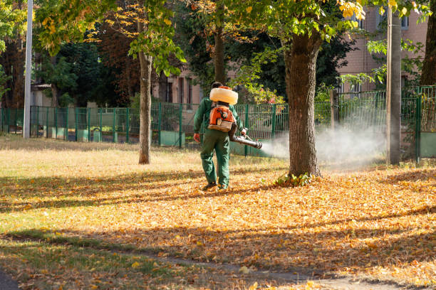 Best Ant Control Services  in Lineville, AL