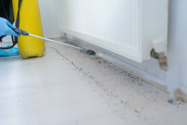Pest Control for Restaurants in Lineville, AL