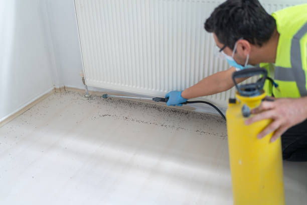 Best Residential Pest Control  in Lineville, AL