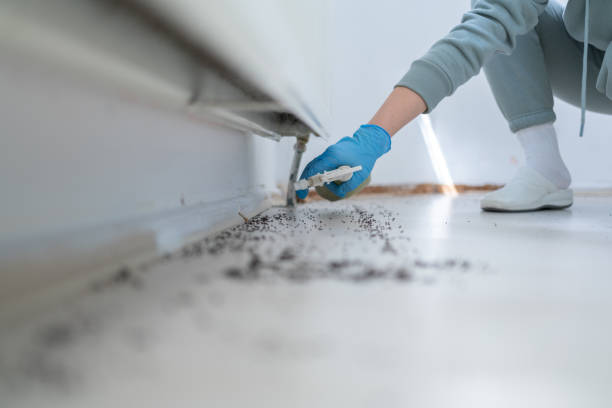 Best Pest Prevention Services  in Lineville, AL