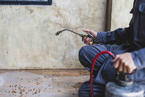 Best Ant Control Services  in Lineville, AL